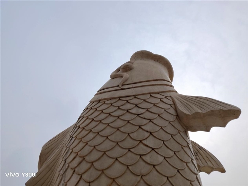 23.5小时霸榜续航榜!vivo Y300i体验评测:超高颜值的一款耐造神机