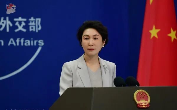 毛宁 资料图 图源:外交部网站