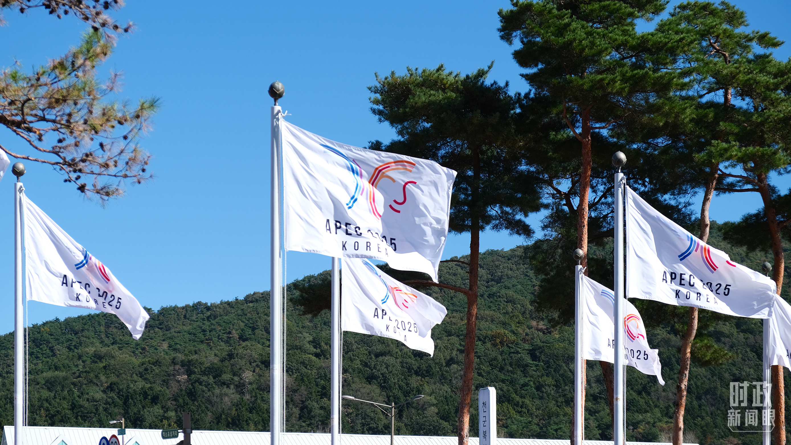 △APEC会议旗帜飘扬。（总台央视记者刘琦拍摄）
