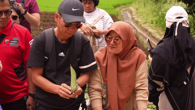 端午遇“六一”点燃文旅融合新活力——2025端午假日经济观察