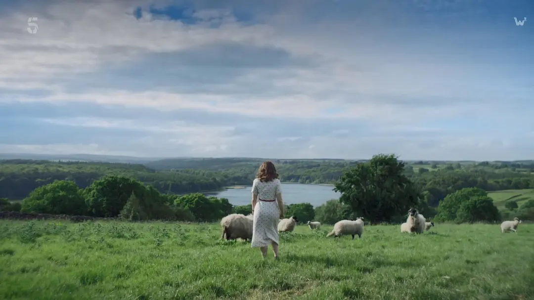 《万物生灵 第二季》