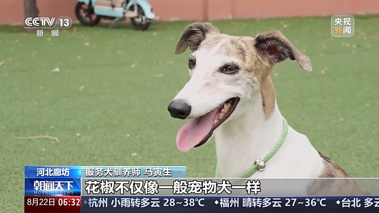 宠物服务招聘增速超72% 年轻人纷纷加入这一新兴行业_凤凰网资讯_凤凰网