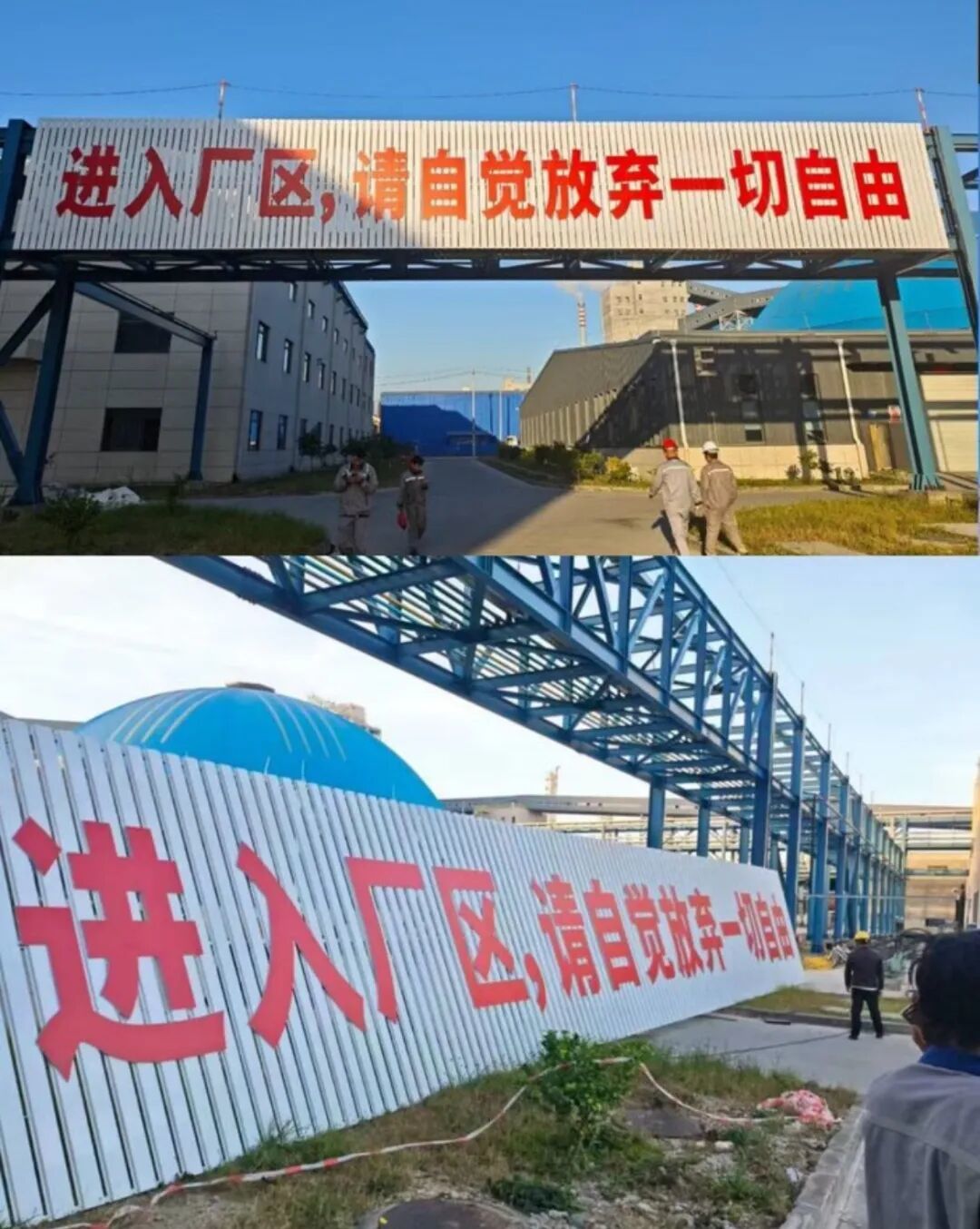 网络截图。