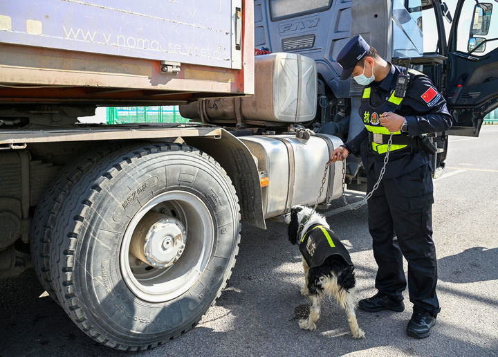 在新疆霍尔果斯公路口岸，边检警察和警犬在查验入境车辆（2024年4月18日摄）。新华社记者 陈朔 摄