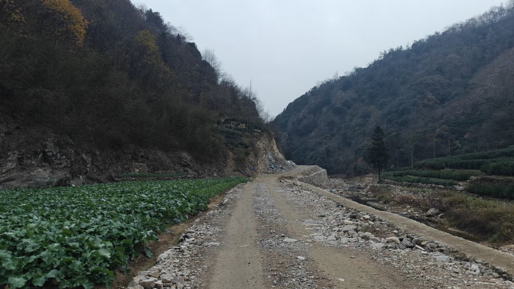 新修的路基从彭志苗家的菜地旁经过。新华社记者 陈诺 摄