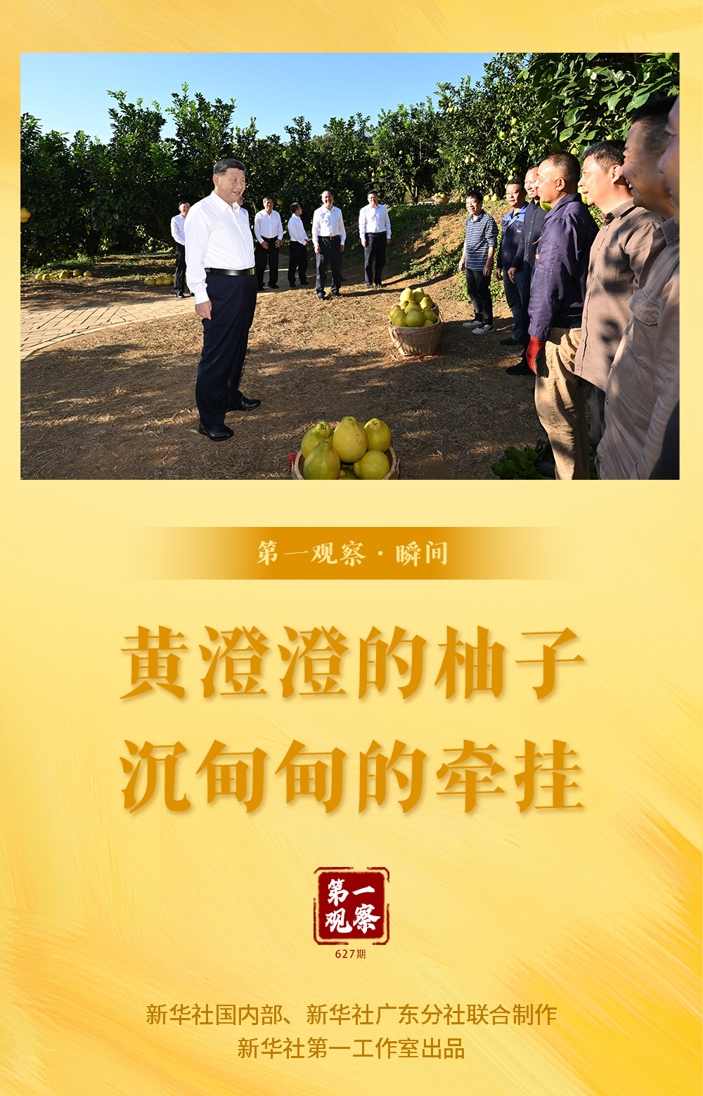 第一观察·瞬间|黄澄澄的柚子,沉甸甸的牵挂