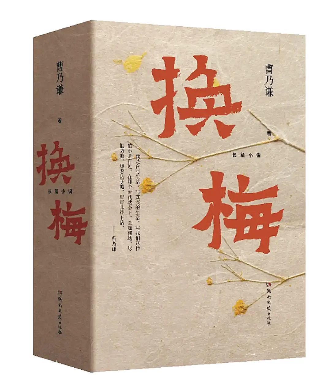 长篇小说《换梅》。