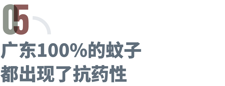 佛山运动式灭蚊,新冠后首次“全民防疫”