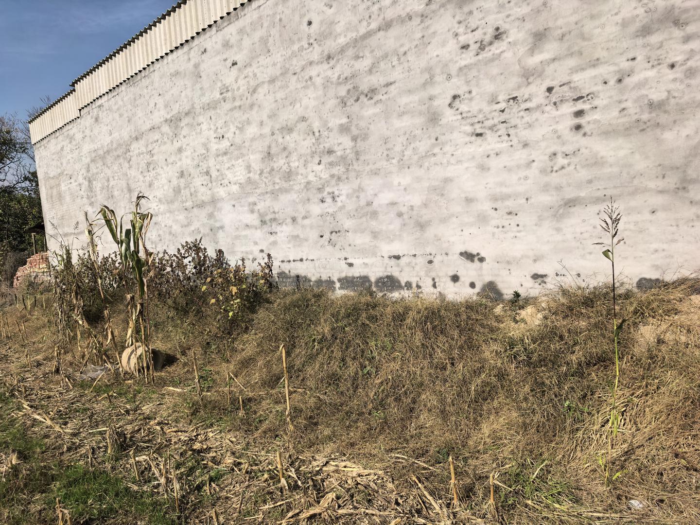 ▲引起纠纷的一溜土 受访者供图