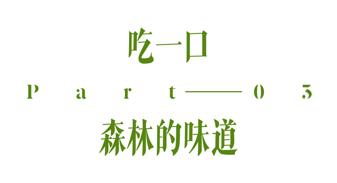 国内封神级的秋景，不止新疆有