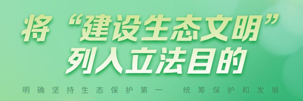 新华全媒+｜首次立法！国家公园筑起“法治屏障”