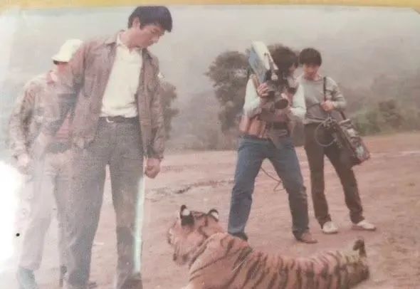 阿公以前养老虎。 (图/IG@ihsuan_yeh提供)