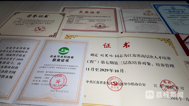刘笑吟工作以来获得的各种荣誉及专业奖项