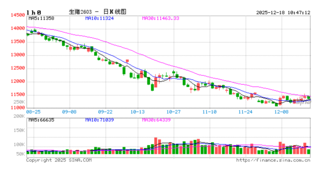 猪肉价格一跌再跌。(图/新浪财经)