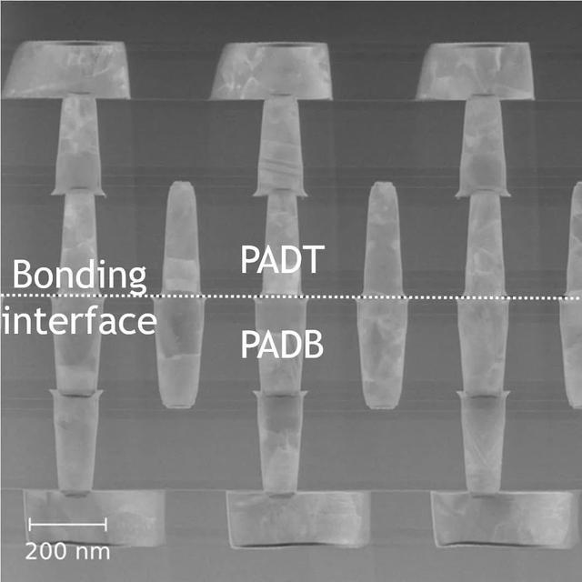 图 5 – 250nm 六边形焊盘网格上的菊花链(键合顶部(PADT)和底部(PADB)焊盘,尺寸不等)的 TEM