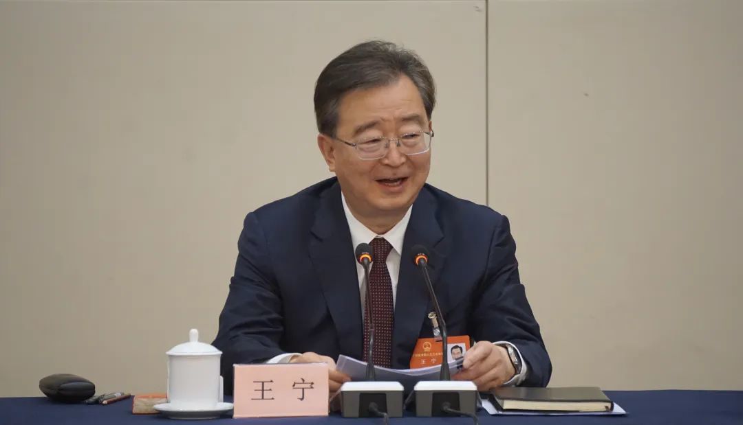 王宁（摄影/何强）