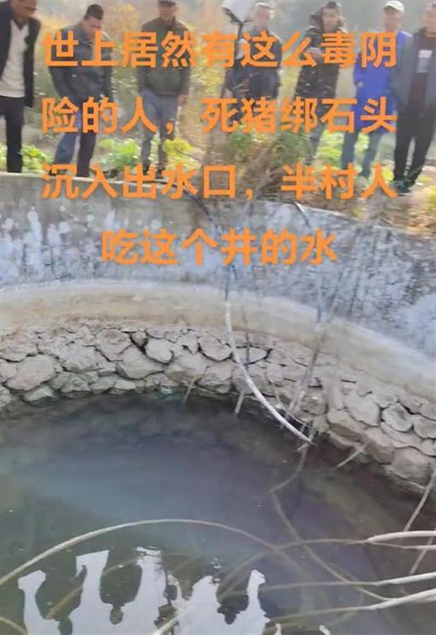 水井内被投入绑着石头的死猪，半村人吃这口井的水_凤凰网