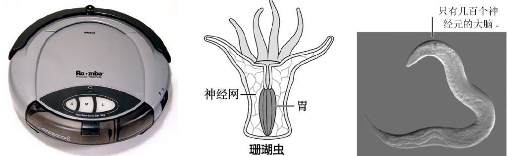 没有博士学位,也不是科班出身,他的跨界作业却赢了圈内高赞