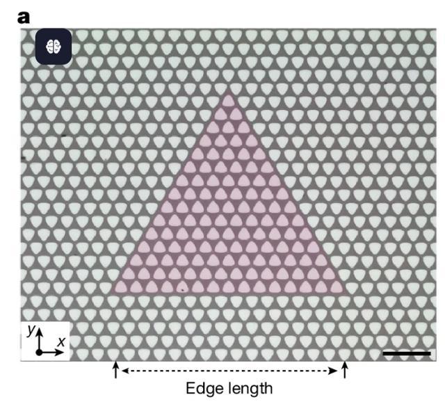 图｜拓扑声子波导围绕成三角形路径的显微镜图像。（来源: Nature）