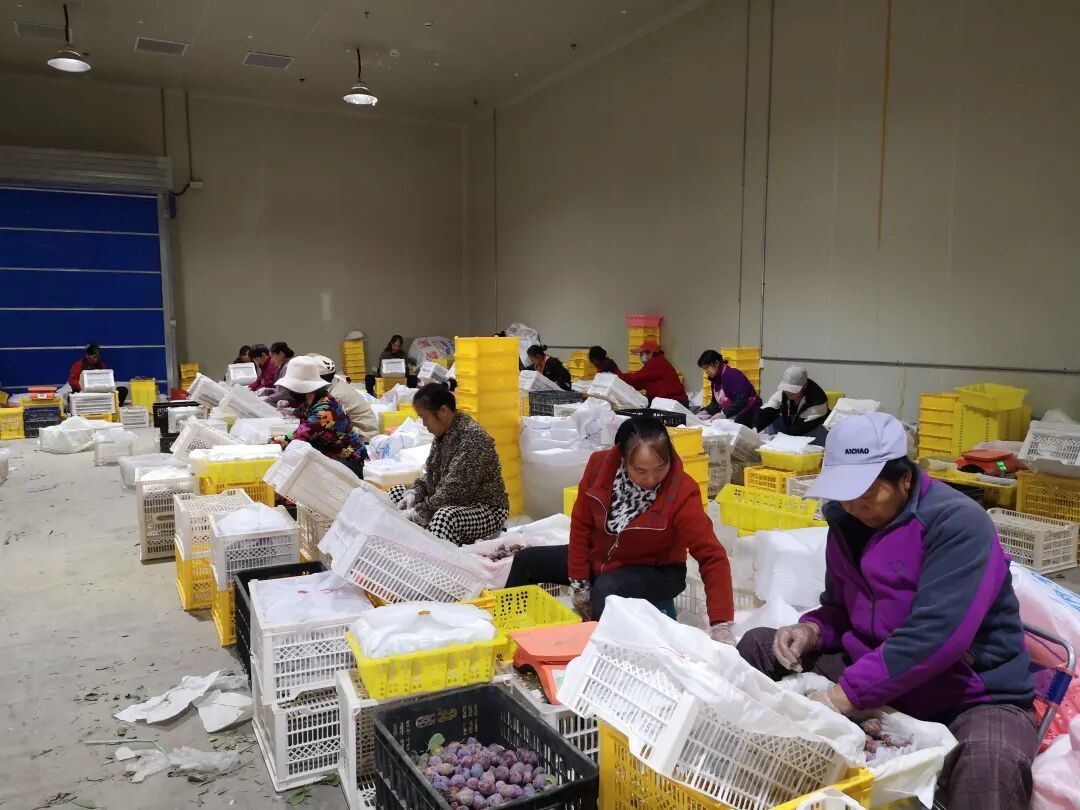 ��ʲ����٤ʦ����٤��÷�ִ���ҵ԰�ڣ�������Ĵ��������ڷּ���÷������ ��