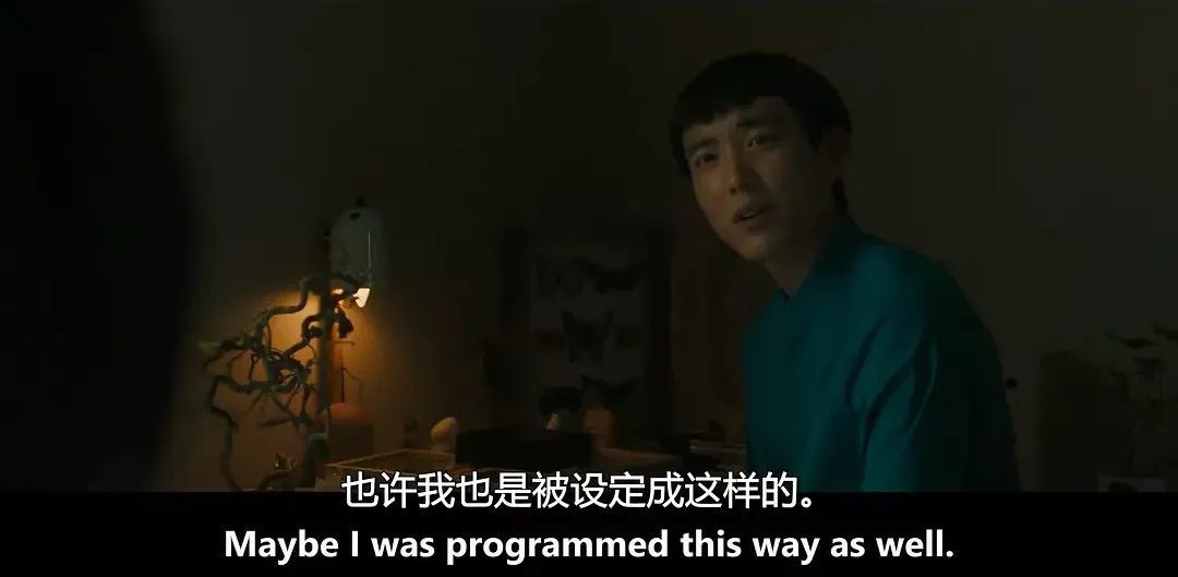 《杨之后》