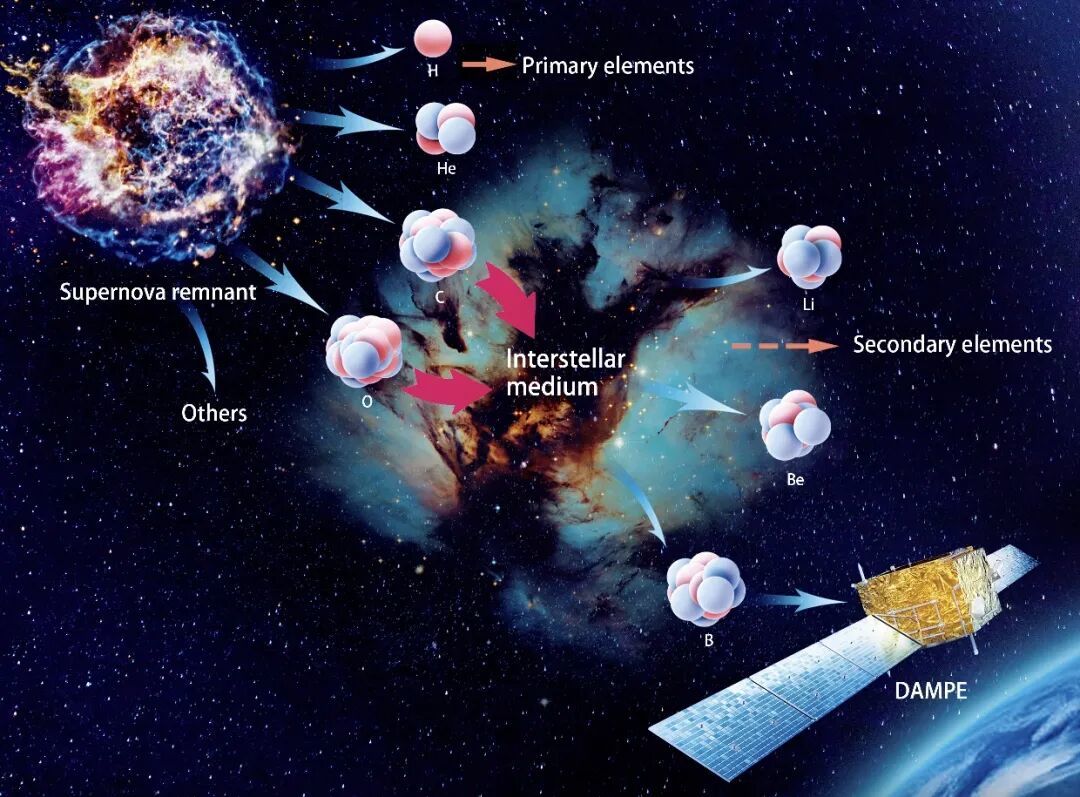 “悟空”号发现宇宙线硼核的能谱变硬。