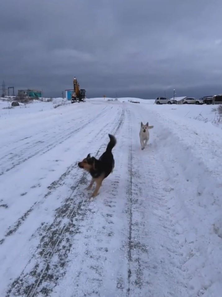 朱佑旅途中的记录(截图来源:受访者社交账号)
