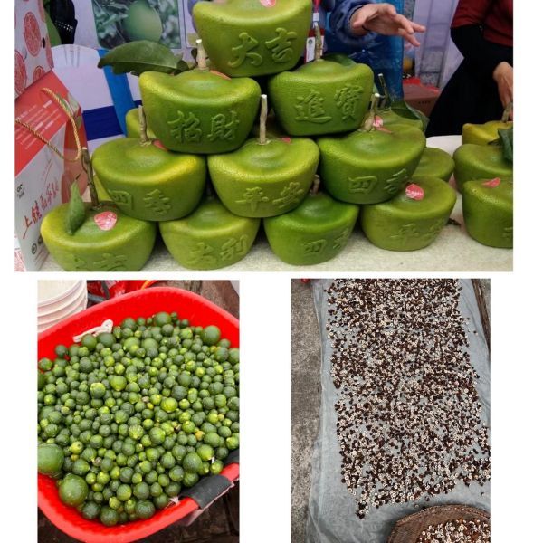 图片 10.jpg