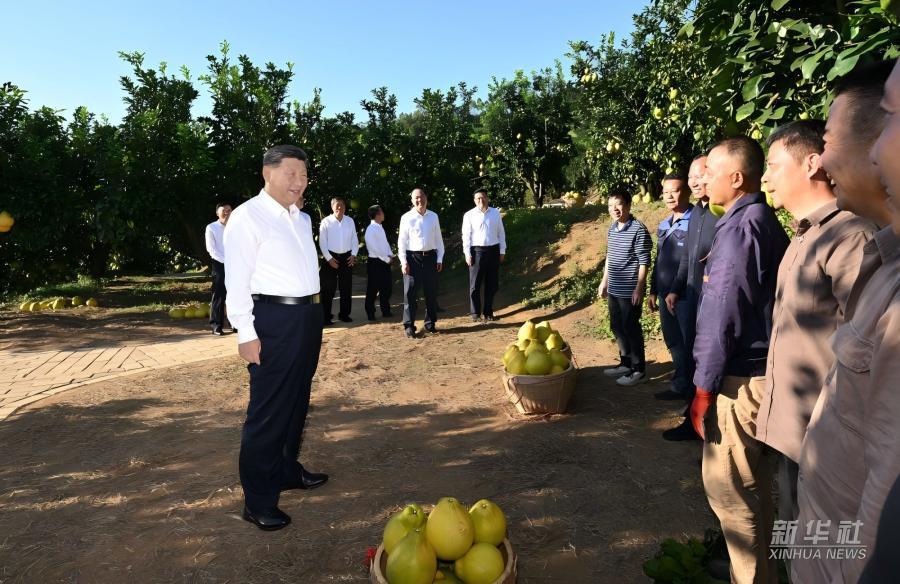 学习进行时｜习近平总书记关心推动老区发展振兴的故事