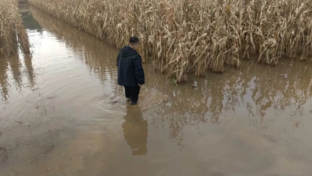 一村民现在积水的田中,水深几乎到其膝盖/受访者供图