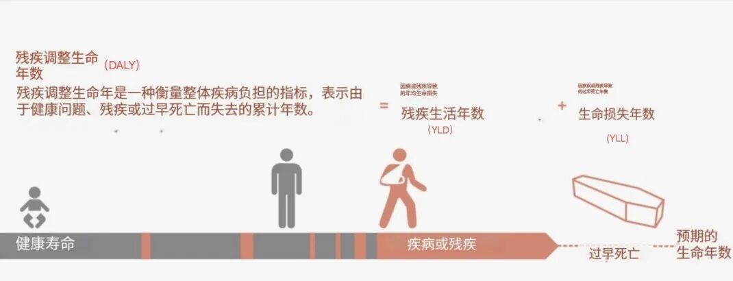 图片来源:参考文献