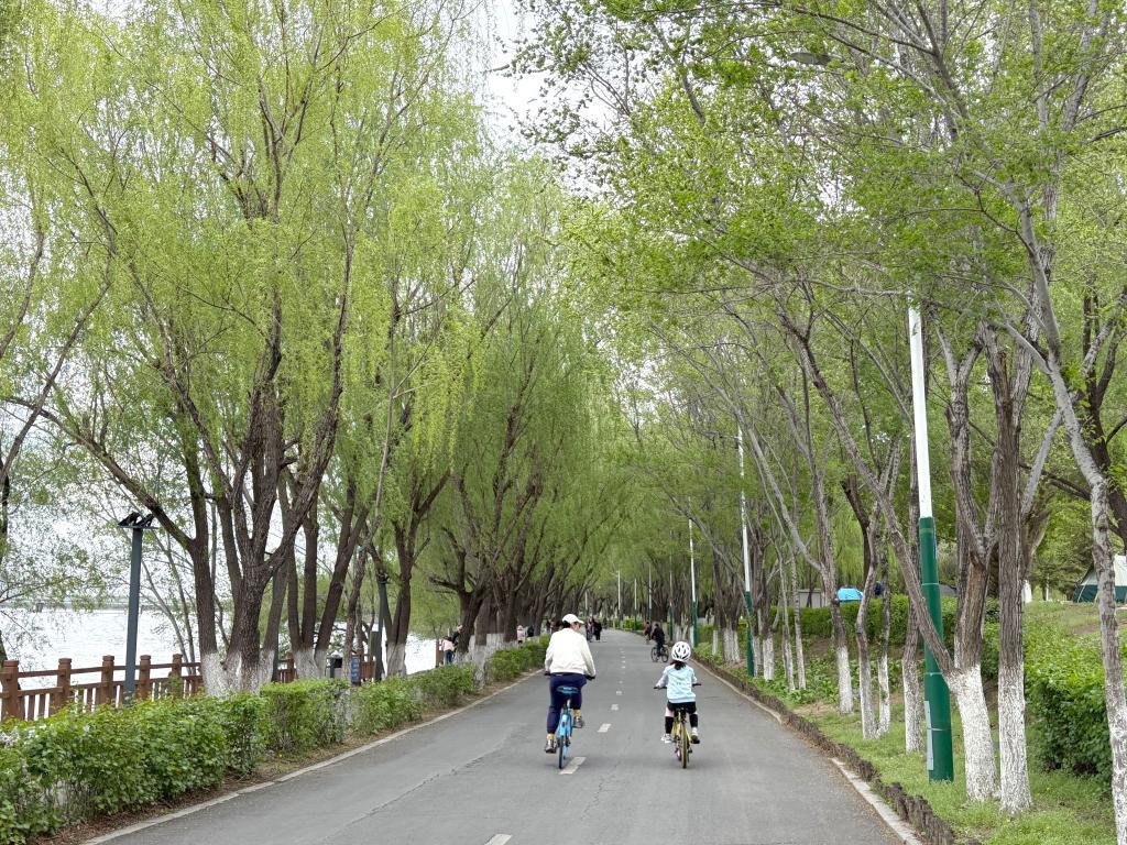 5月2日,市民在辽宁沈阳浑河公园骑行。新华社记者 周华 摄