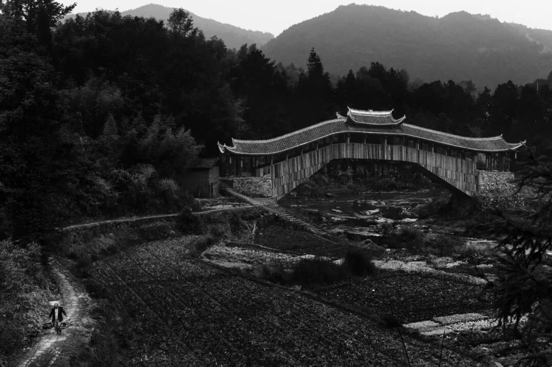 这种严苛的限制,塑造了一代摄影师的 “纪律性”。我能理解为何如今的年轻人会对这种古老的工艺着迷,因为它代表了一种完全不同的思维和工作方式,一种对过程的专注和对结果的敬畏。