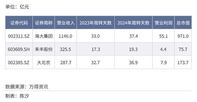 内容图片