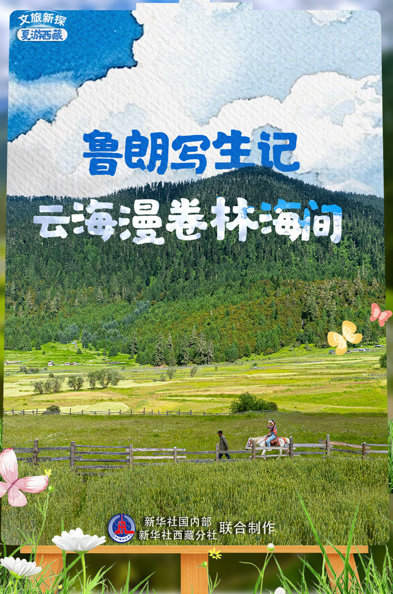 文旅新探&middot;夏游西藏｜鲁朗写生记：云海漫卷林海间