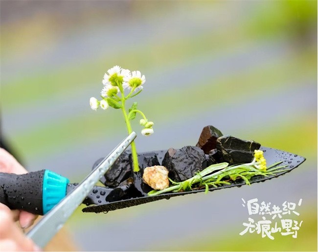 图片9.jpg