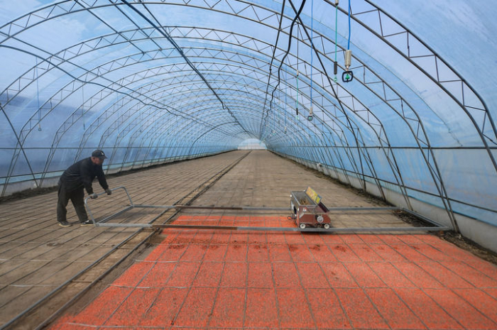 在吉林省吉林市永吉县岔路河镇团结村，永吉县鑫丰种植农民专业合作社农民操作农机进行水稻育苗工作（2025年4月8日摄）。新华社记者张楠摄