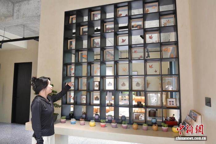 9月11日，安徽塔川村，“90后”民宿店长徐长英在介绍用落叶标本做成的装饰墙。　中新社记者 储玮玮 摄