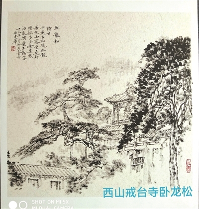 戒台寺卧龙松