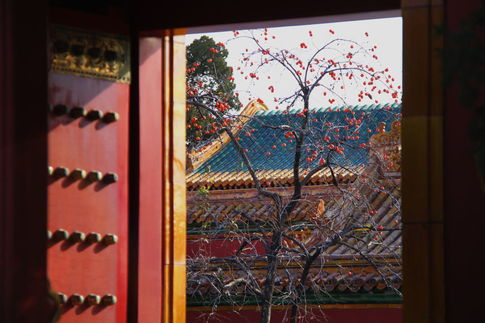 2023年/摄影:王海燕