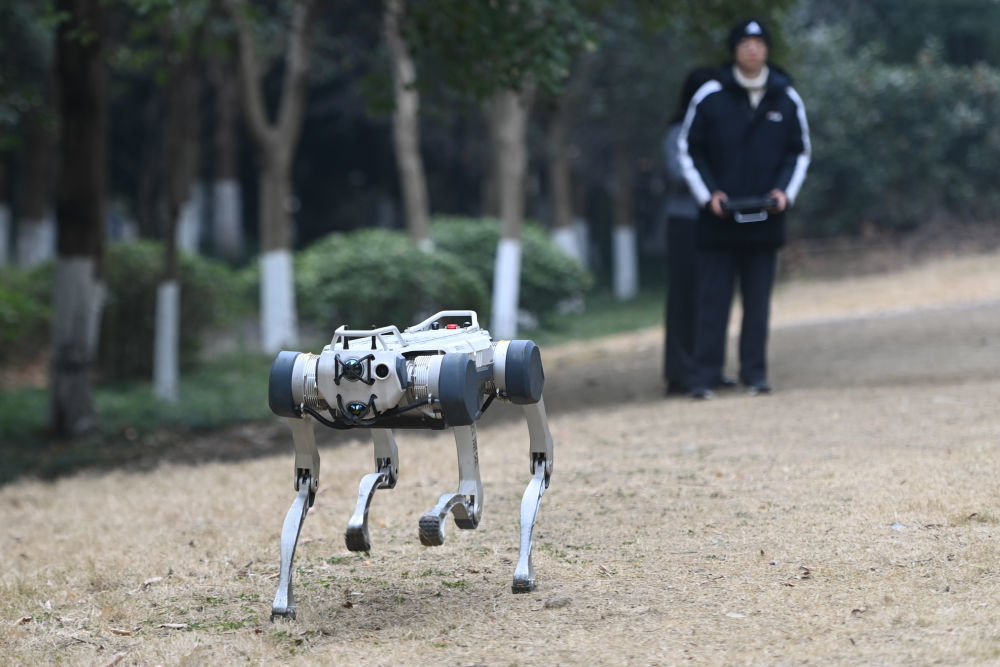 2025年2月10日，杭州云深处科技的工作人员在展示“绝影”系列机器人。新华社记者 黄宗治 摄