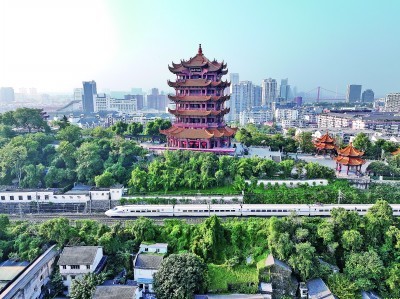 小小票根,何以成为促消费“金钥匙”