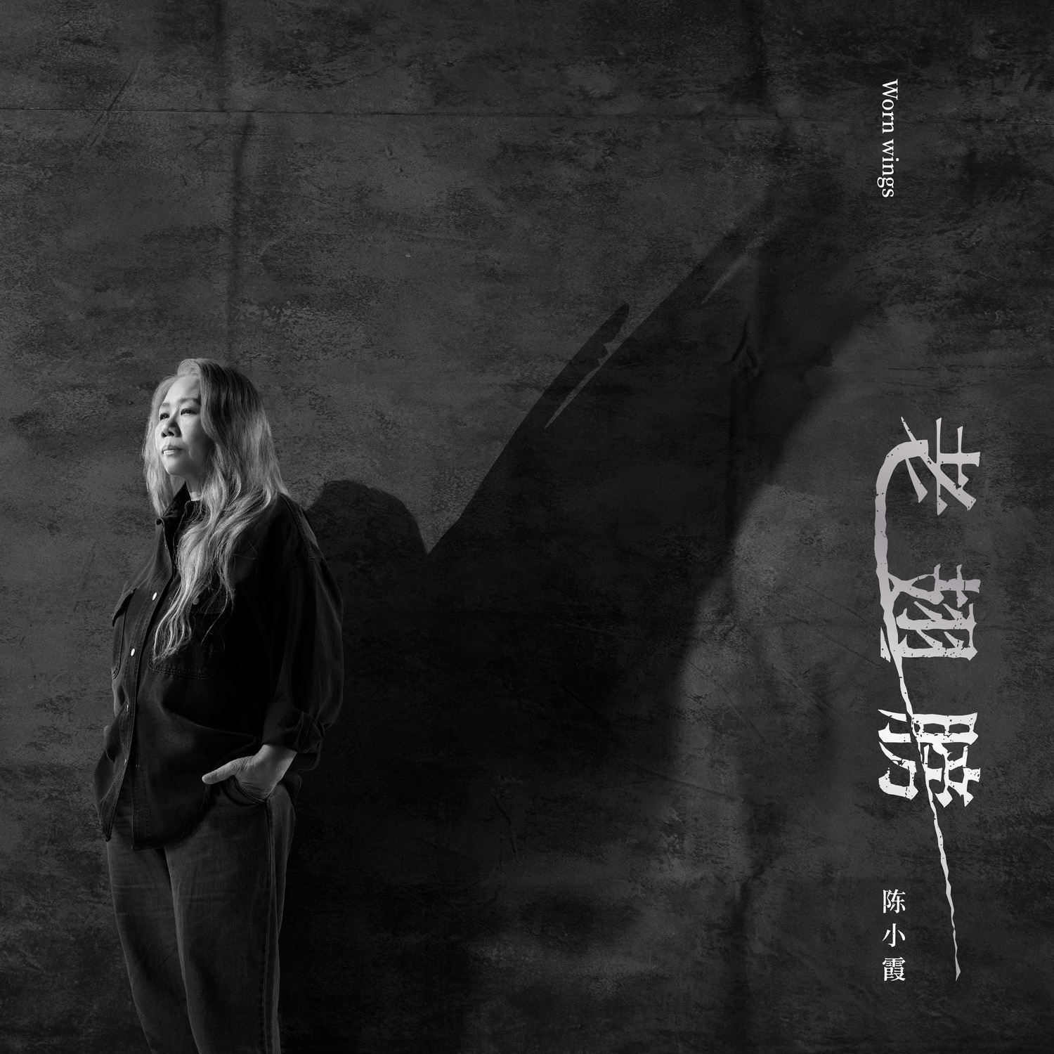 2025年初，陈小霞发行新专辑《老翅膀》。