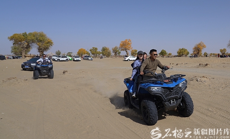 游客驾驶越野摩托车,驰骋于沙漠之中,欣赏壮观景色与金黄胡杨林。阿不都拉·买买提明 摄