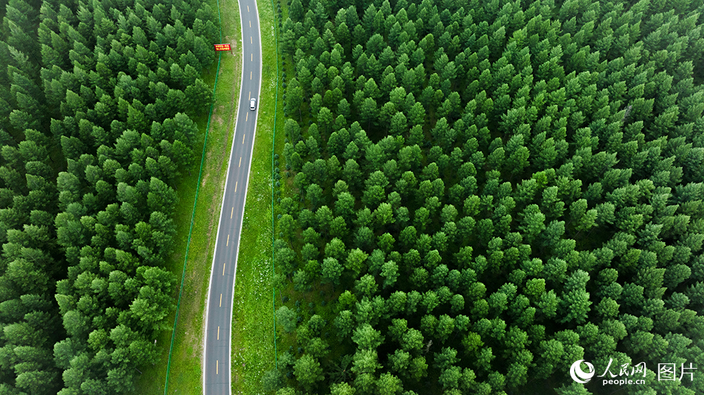 “两山”理念20年｜走好绿色发展路，世界点赞中国“绿色奇迹”
