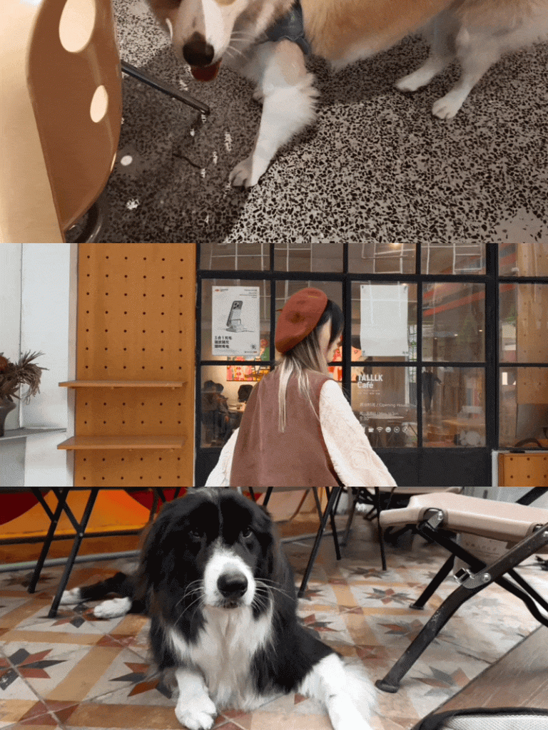 Live Photo 的十年故事,将被如何续写?