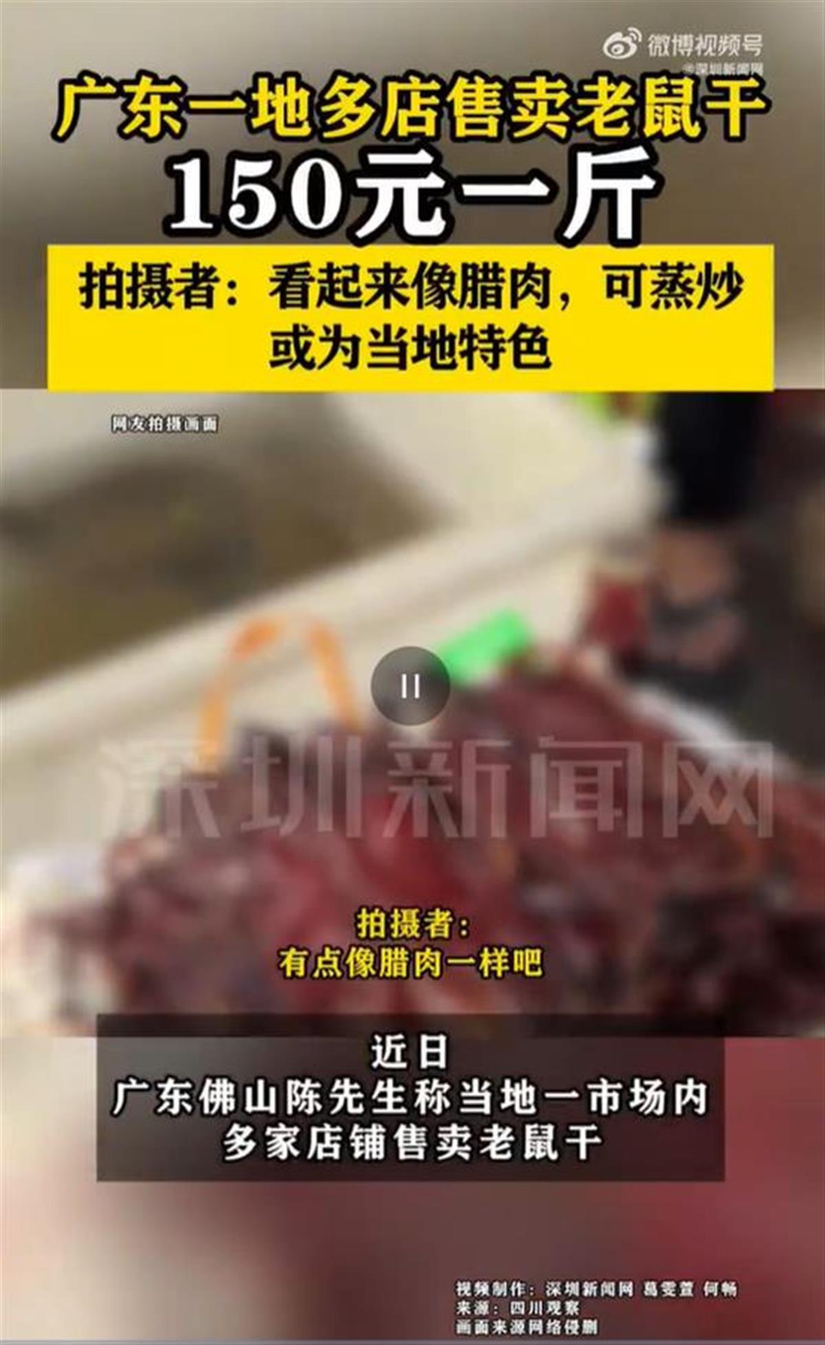 老鼠.png