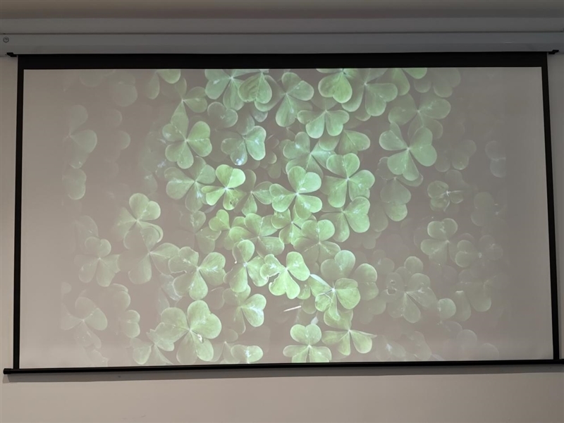 千元投影新卷王!哈趣Q1 Max评测:这是一台Z世代租房党的居家新玩物