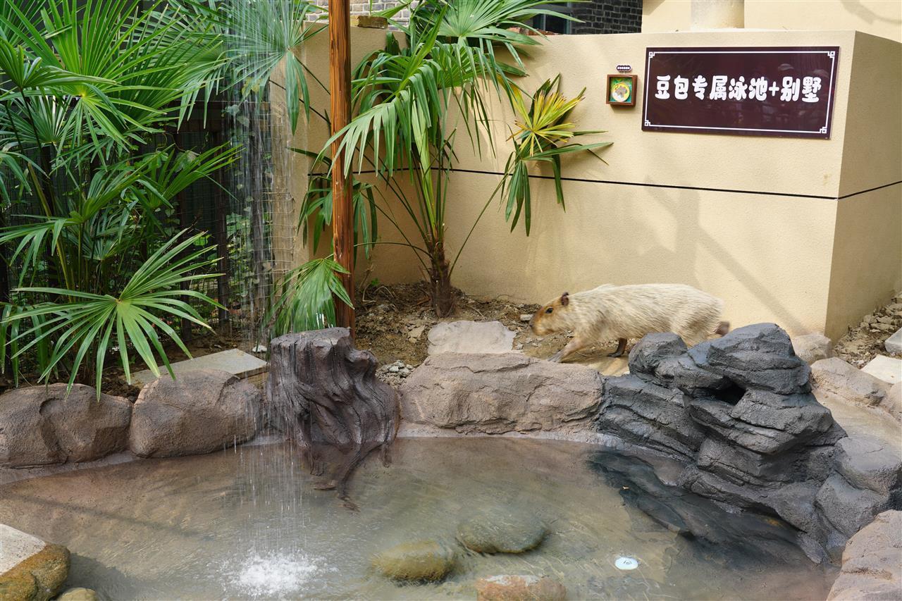 DSC08290.JPG