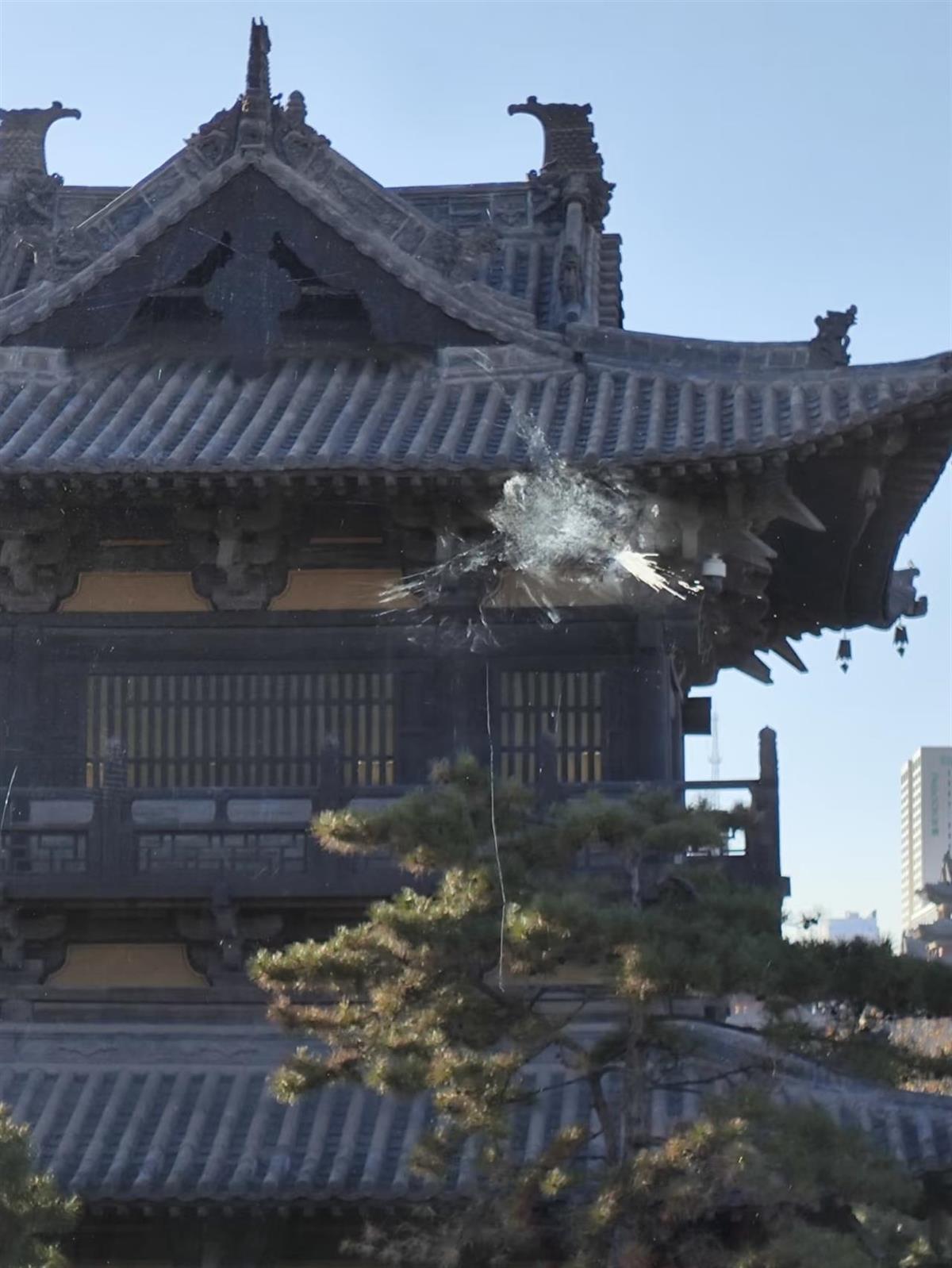 鸟类撞击后留下的痕迹 来源:网友供图